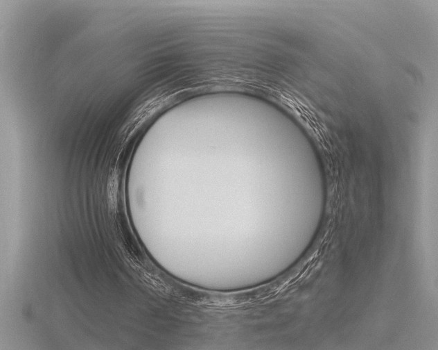 X0000116480194200912090934