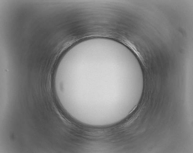 X0000116480205200912090934