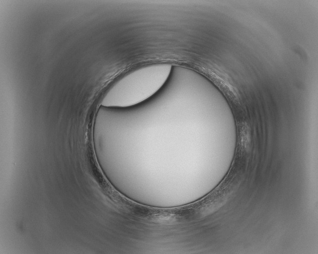 X0000116480206200912090934
