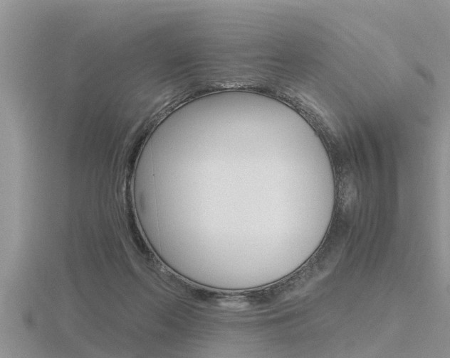 X0000116480214200912090933