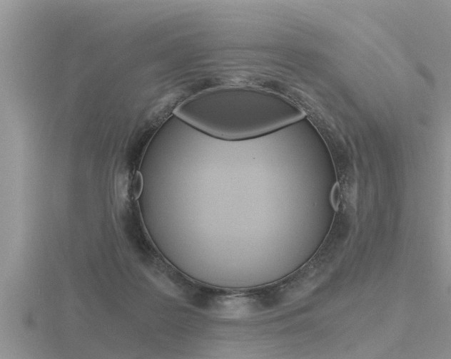 X0000116480219200912090933
