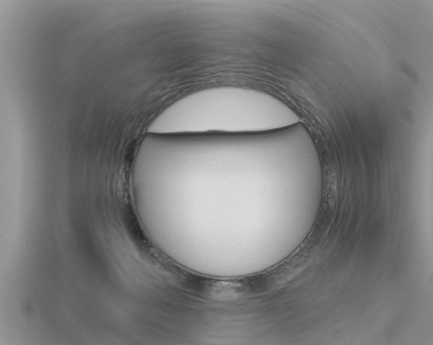 X0000116480222200912090933