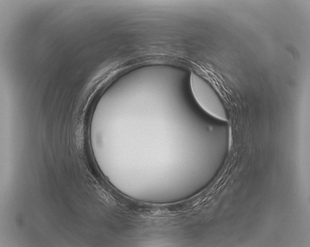 X0000116480243200912090933