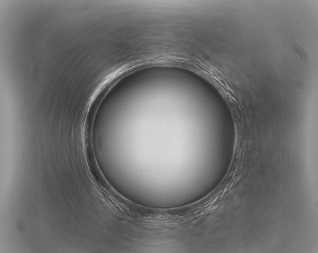 X0000116480244200912090933