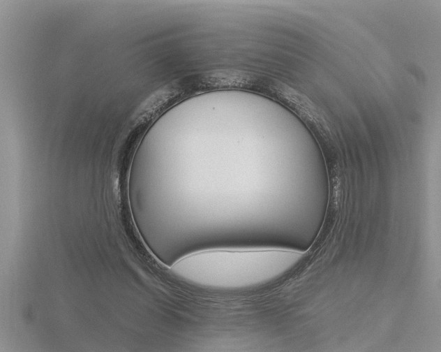 X0000116480254200912090933