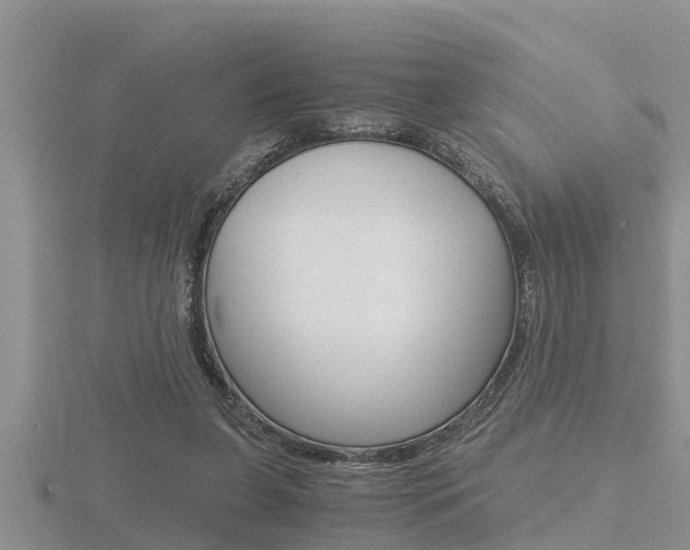 X0000116480255200912090933