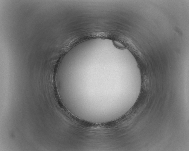 X0000116480259200912090933