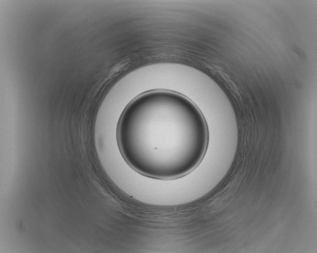 X0000116480260200912090933