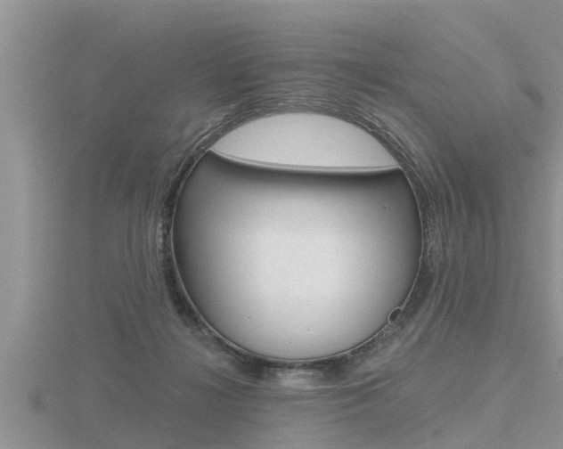 X0000116480268200912090933