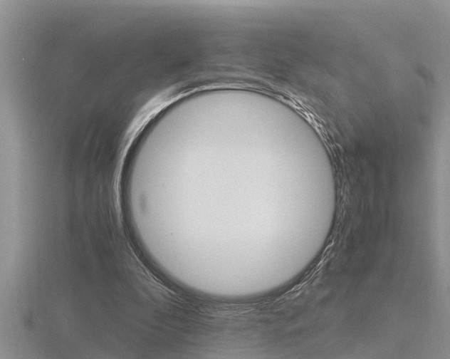 X0000116480296200912090932