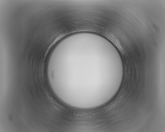 X0000116480300200912090932