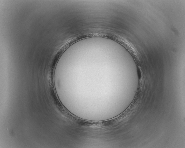 X0000116480306200912090932
