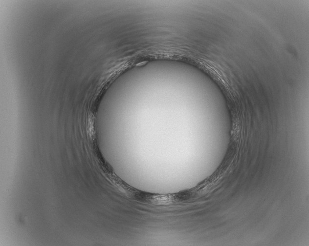 X0000116480335200912090932