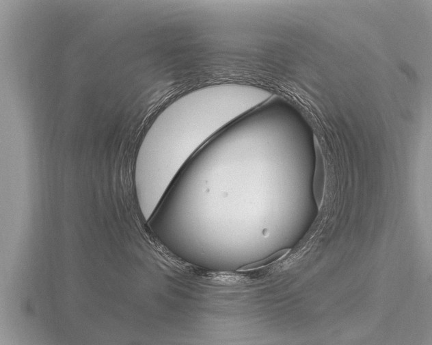 X0000116480336200912090932