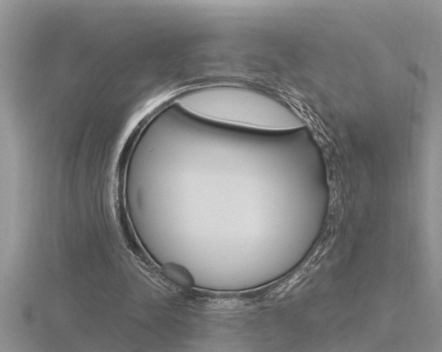 X0000116480342200912090931
