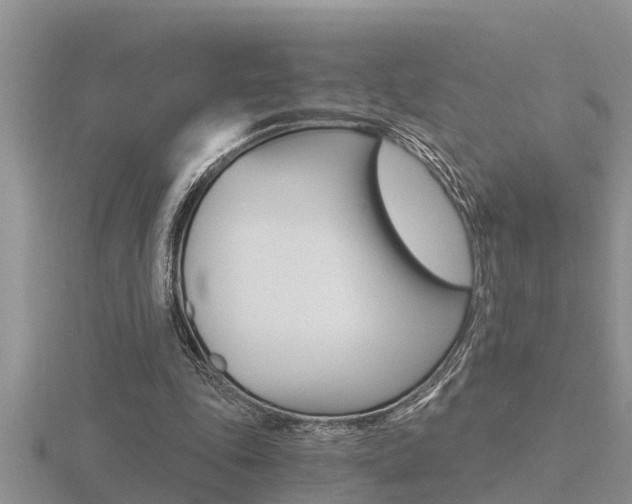 X0000116480343200912090931