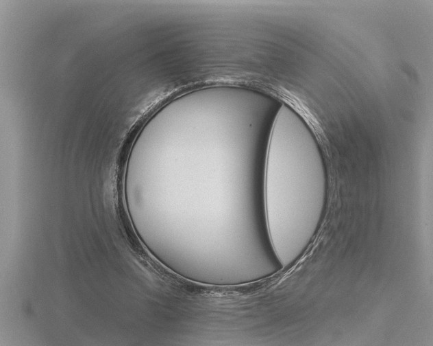 X0000116480346200912090931