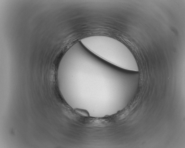 X0000116480379200912090932