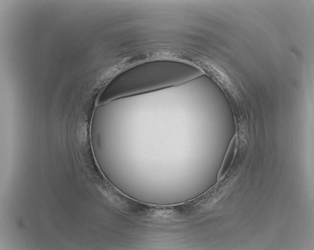 X0000116480401200912090931