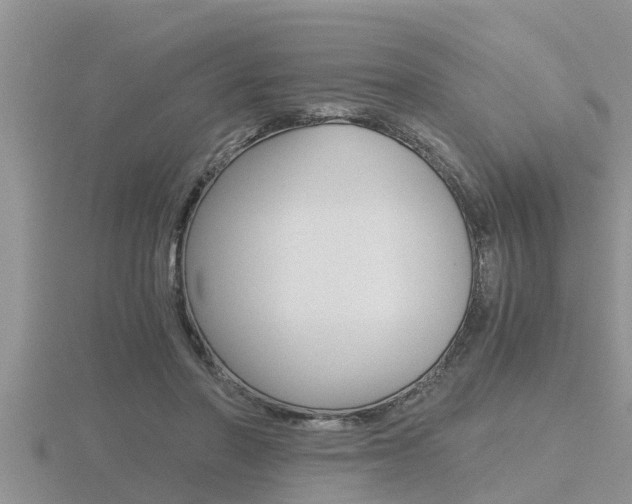 X0000116480406200912090931