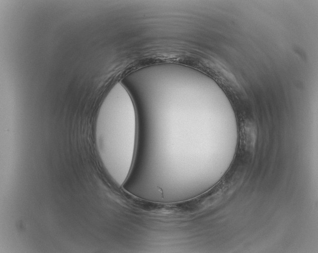 X0000116480412200912090931