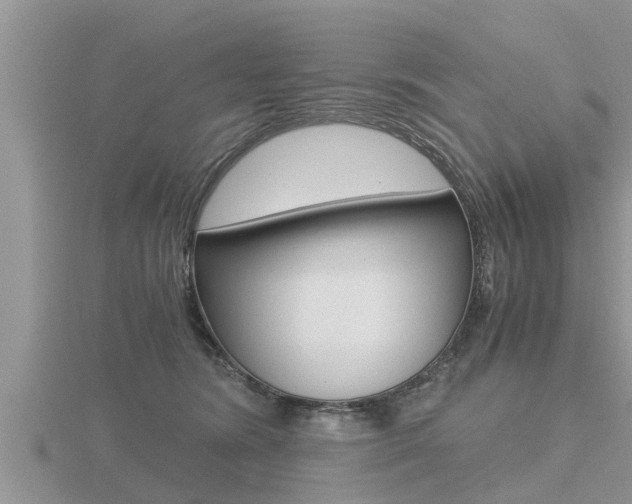 X0000116480420200912090931
