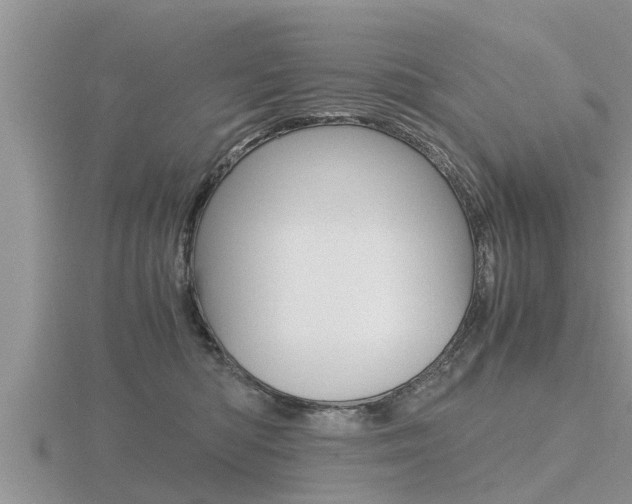 X0000116480422200912090931
