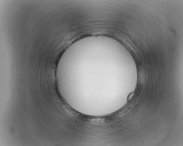X0000116480426200912090931