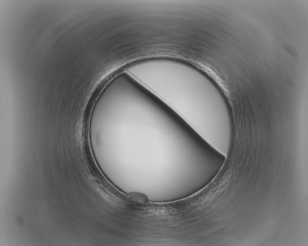 X0000116480439200912090930