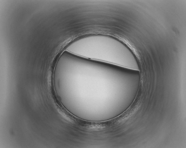 X0000116480445200912090930