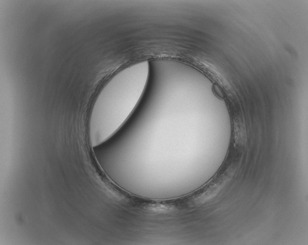 X0000116480453200912090930
