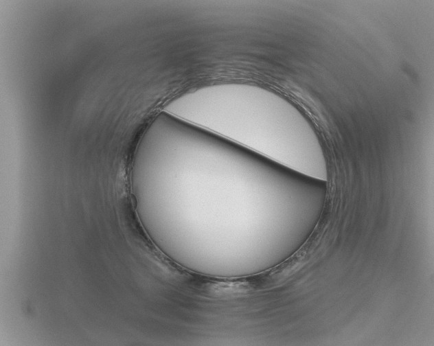 X0000116480465200912090930