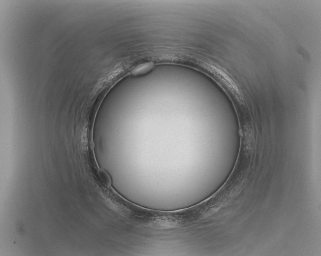 X0000116480489200912090930