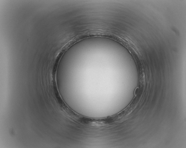 X0000116480508200912090930