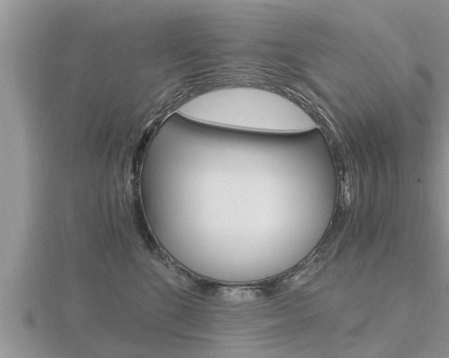 X0000116480520200912090930