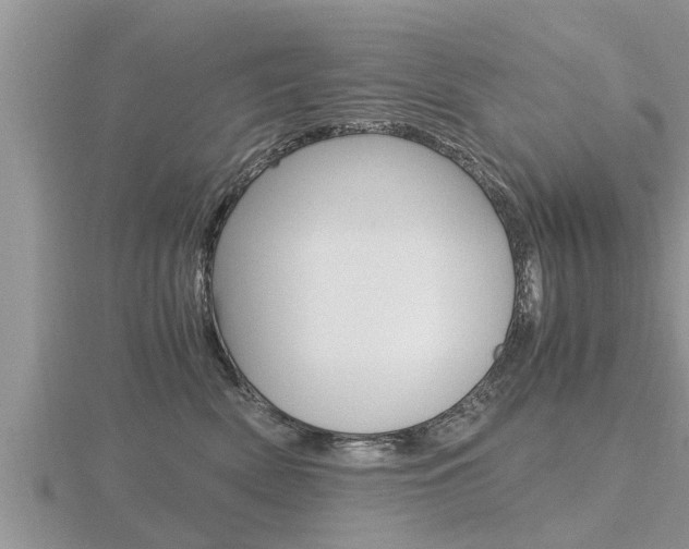 X0000116480522200912090930