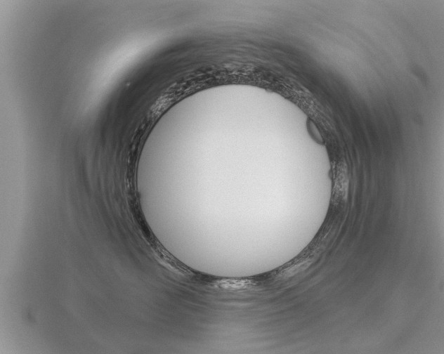 X0000116480526200912090929