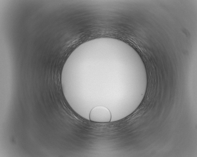 X0000116480528200912090929