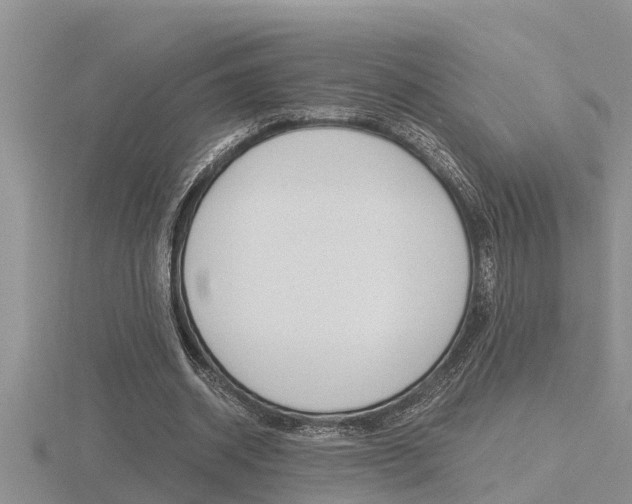 X0000116480534200912090929
