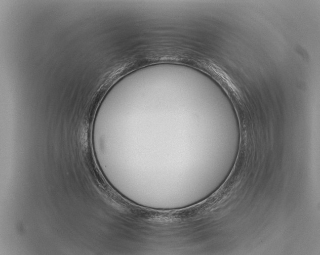 X0000116480537200912090929