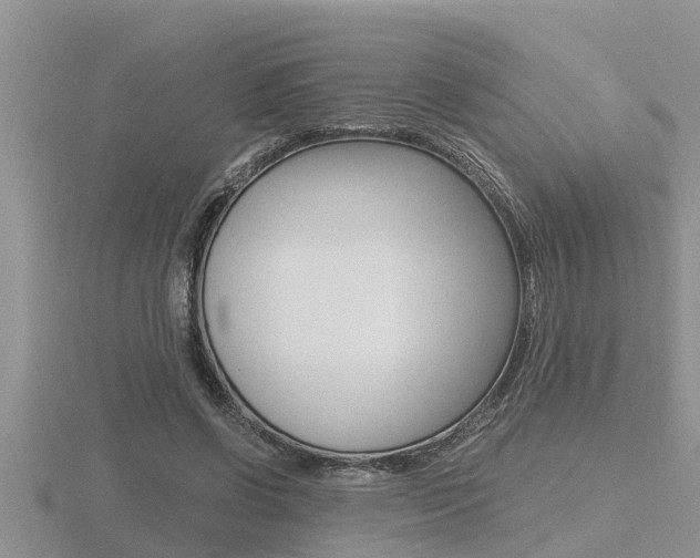 X0000116480542200912090929