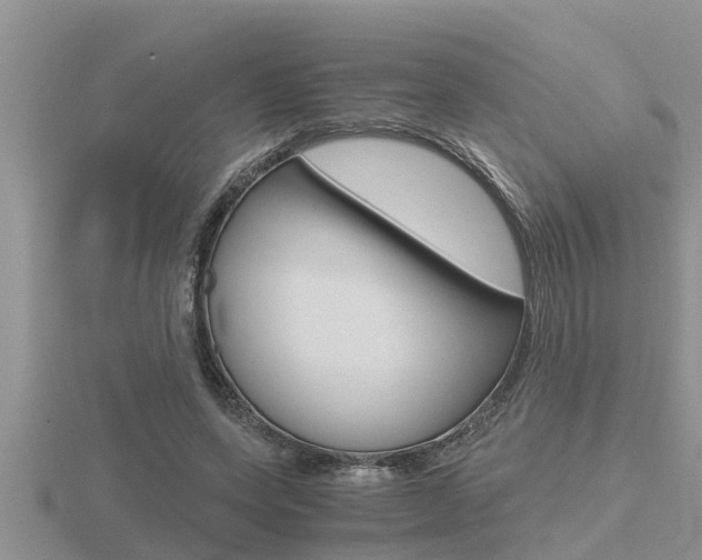 X0000116480543200912090929