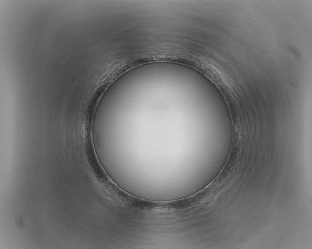 X0000116480546200912090929