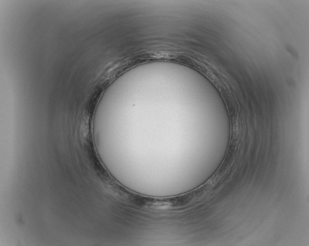 X0000116480554200912090929
