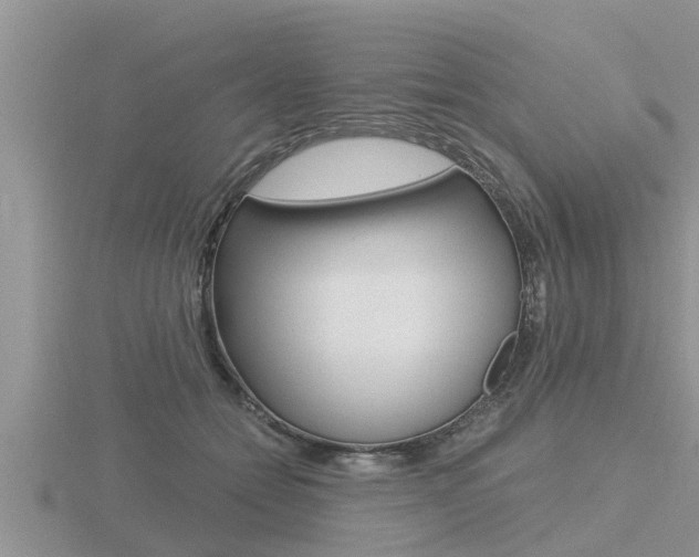 X0000116480558200912090929