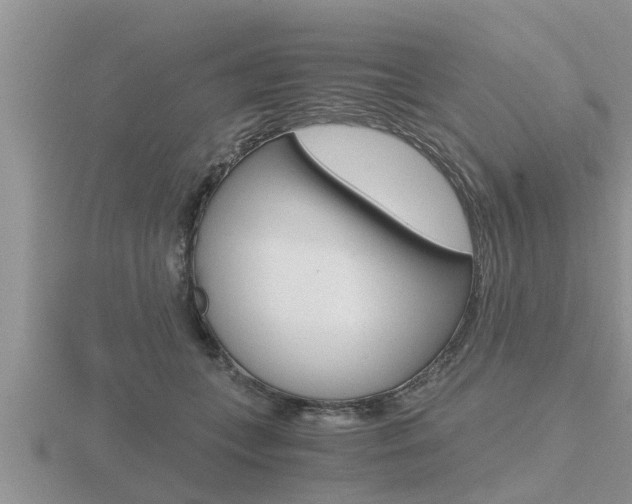 X0000116480559200912090929