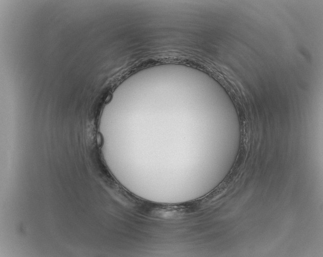 X0000116480563200912090929