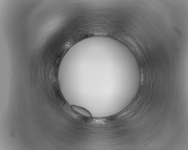 X0000116480573200912090929