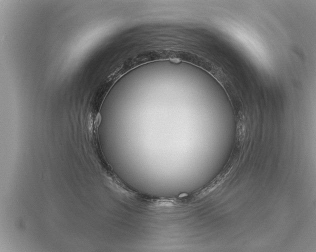 X0000116480574200912090929