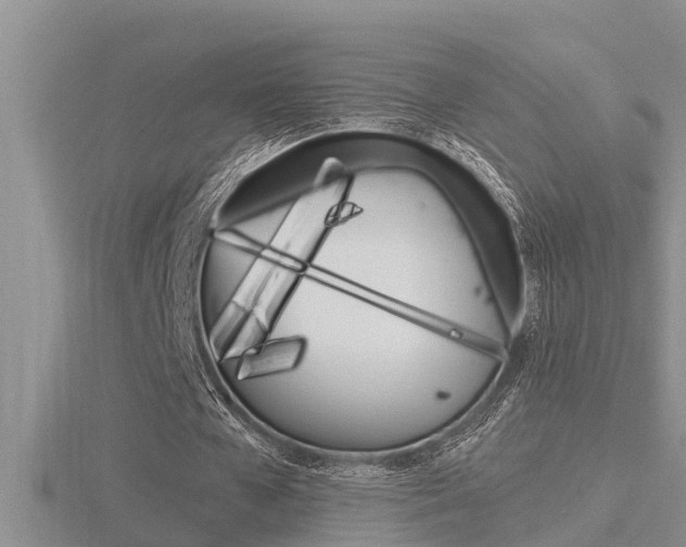 X0000116480577200912090929